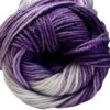 Laine multicolore acrylique 100gr 380m - Lizzie 001