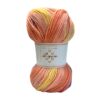 Laine multicolore acrylique 100gr 380m - Lizzie 490