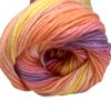 Laine multicolore acrylique 100gr 380m - Lizzie 490