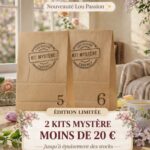 lot kits mystere crochet lou passion numeros 5 et 6 offre duo