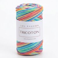 Fil Tricoton Multi 19 coton polyester pelote 250g dégradé multicolore vif crochet