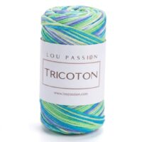 Fil Tricoton Multi 20 coton polyester pelote 250g dégradé bleu vert crochet
