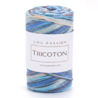 Fil Tricoton Multi 21 coton polyester pelote 250g dégradé bleu beige marron crochet